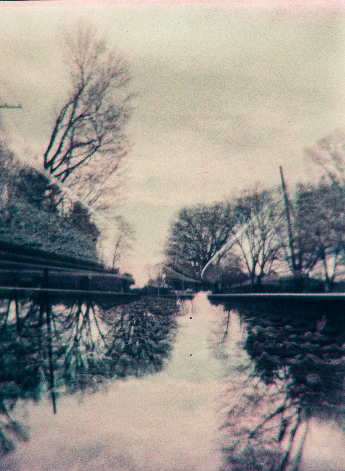 LomoChrome Purple shot with a Holga 120N