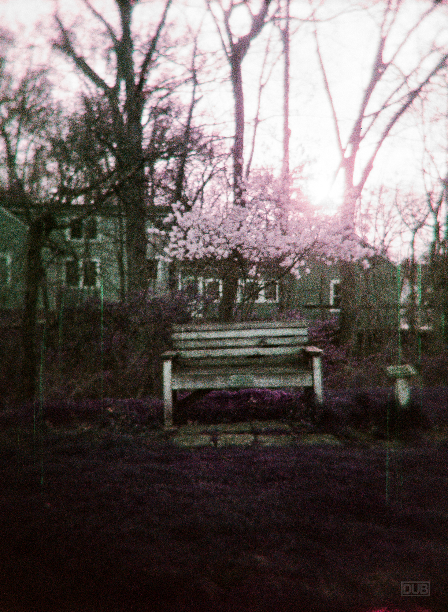 LomoChrome Purple shot with a Holga 120N