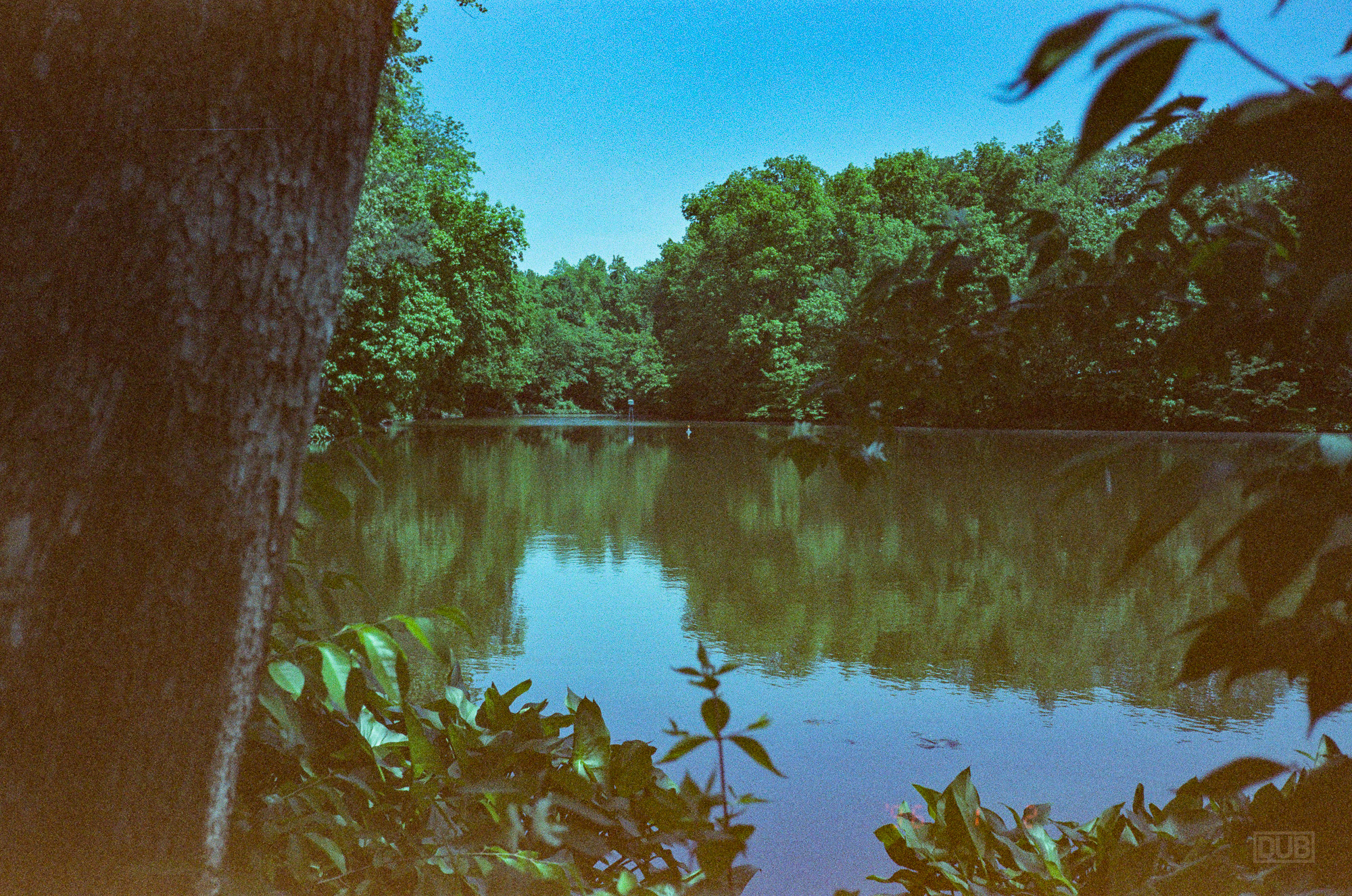 Olympus Stylus Epic DLX point and shoot camera and 3M expired 35mm film from Target