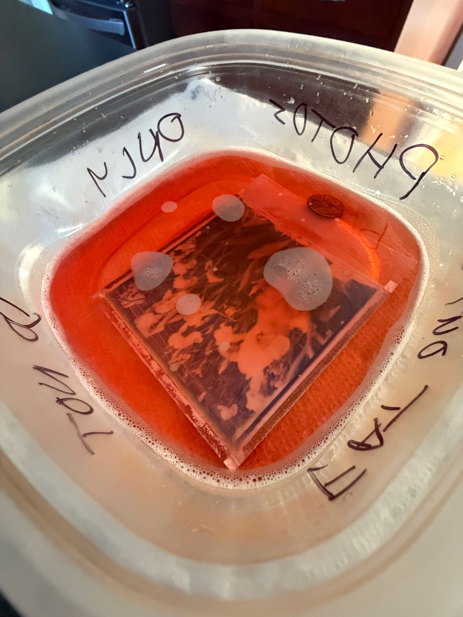 A Polaroid 600 photo soaking in soap and red food coloring.
