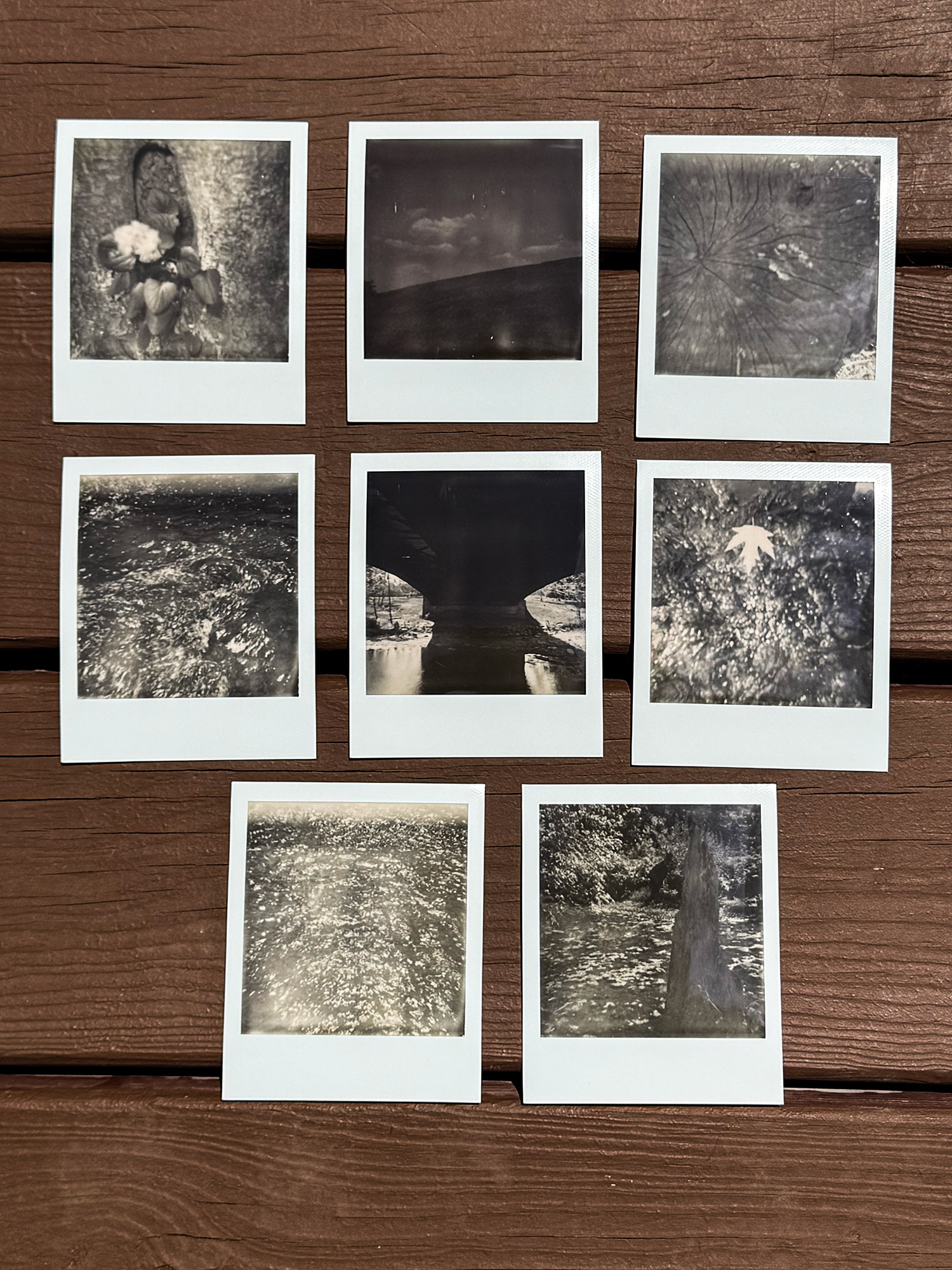 A series of black and white Polaroid 600 photos taken at a park.